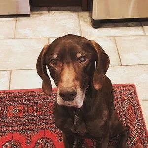 Meet your Posher, Beth